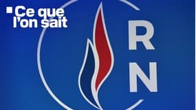 Logo du Rassemblement national