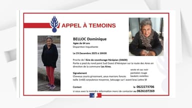 Dominique Belloc, 64 ans, portée disparue depuis le 23 décembre. 