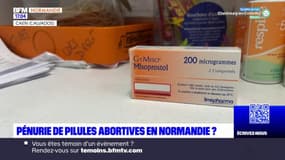 Santé: vers une pénurie des pilules abortives en Normandie?
