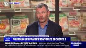Thierry Cotillard (président du groupement Les Mousquetaires): "On a des progressions importantes en volume sur les marques distributeurs au détriment des marques nationales"