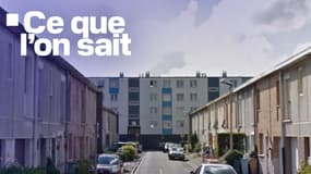 Rue Louise Michel à Saint-Pol-sur-Mer (Nord) où le corps d'une femme d'une cinquantaine d'année a été retrouvé enterré dans un jardin