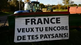 Des tracteurs au Cannet-des-Maures (Var), le 18 novembre 2024