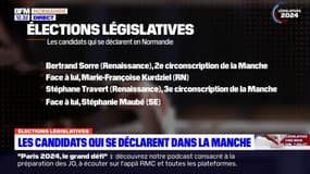 Législatives: les candidats déclarés dans la Manche
