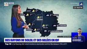 Météo Paris-Ile de France du 29 novembre : Des rayons de soleil et des gelées