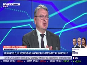 Emmanuel Petit (Rothschild & Co) : le high yield, un segment obligataire plus pertinent aujourd'hui ? - 15/09