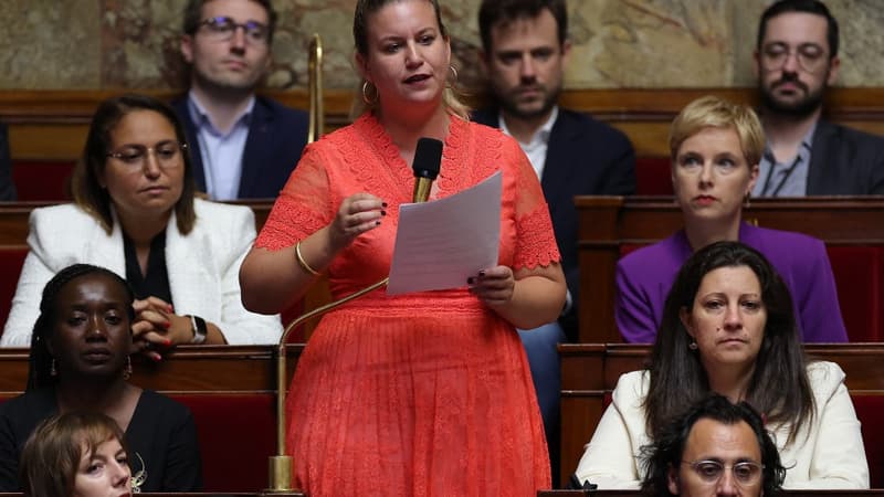 Retraites, refus d'obtempérer, méga-bassines... La France insoumise dévoile sa niche parlementaire
