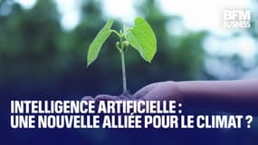  Intelligence artificielle : une nouvelle alliée pour le climat ?  