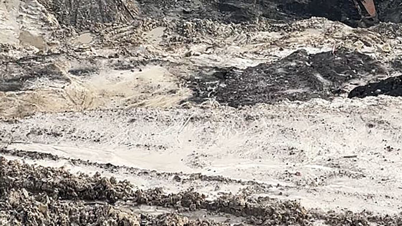 Un orang-outan en danger critique d'extinction marchant dans une mine de charbon à Bornéo, en Indonésie, le 27 janvier 2025. Un orang-outan en danger critique d'extinction marchant dans une mine de charbon à Bornéo, en Indonésie, le 27 janvier 2025.