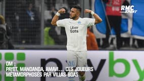 OM : Payet, Mandanda, Amavi… ces joueurs métamorphosés par Villas-Boas