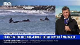 "Les Marseillais fuient les jardins et les plages publiques": Franck Allisio, candidat RN à la mairie de Marseille, évoque sa proposition d'interdire certaines plages "aux jeunes"