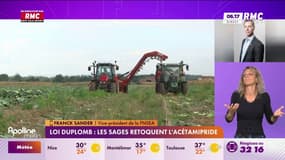 Décision du Conseil constitutionnel sur la loi Duplomb: "La France fait le choix d'importer les produits d'ailleurs où on n'a aucune traçabilité, contrairement à ce que l'on aurait pu offrir", dit Franck Sander, vice-président de la FNSEA