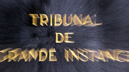 La présidente du tribunal de grande instance de Paris sort de sa réserve pour rappeller l'indépendance des juges (Photo d'illustration)