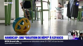 Handicap: "Une solution de répit" à Villeneuve d'Ascq