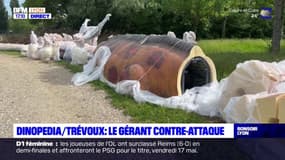 Trévoux: les travaux du futur parc Dinopedia sont à l'arrêt