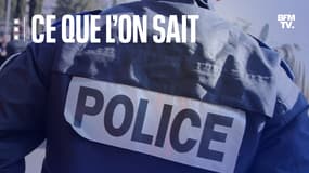 Ce que l'on sait sur les trois nourrissons retrouvés morts à Ville-d'Avray 