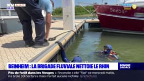 Beinheim: la brigade fluviale nettoie le Rhin