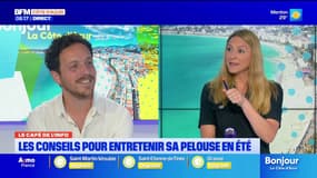 ☕ Le café de l'info : "les conseils pour entretenir sa pelouse en été"