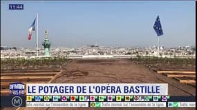Un potager sur le toit de l'Opéra Bastille