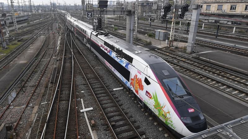 L'abonnement TGVMax séduit les jeunes.