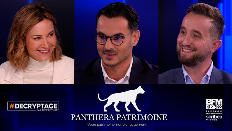 Panthera Patrimoine : expert patrimonial pour épargne, retraite et succession