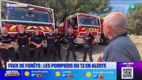 Bouches-du-Rhône: les sapeurs-pompiers en alerte face aux départs de feu