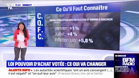 Projet de loi pour le pouvoir d'achat adopté: qu'est-ce qui va concrètement changer ?