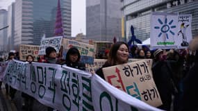 Des manifestants pour le climat, en Corée du Sud, le 29 novembre 2015.