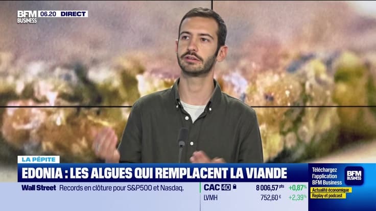 La pépite : Edonia, les algues qui remplacent la viande, par Annalisa Cappellini - 06/06