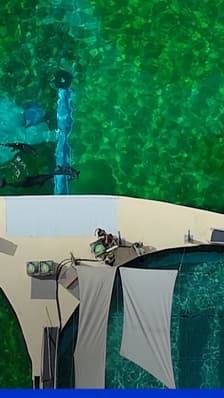 Le sort des orques de Marineland toujours incertain alors que des dauphins iront au ZooParc de Beauval