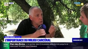 René Frégni, écrivain, assure que la "Provence" est une source d'inspiration "plus qu'importante" 