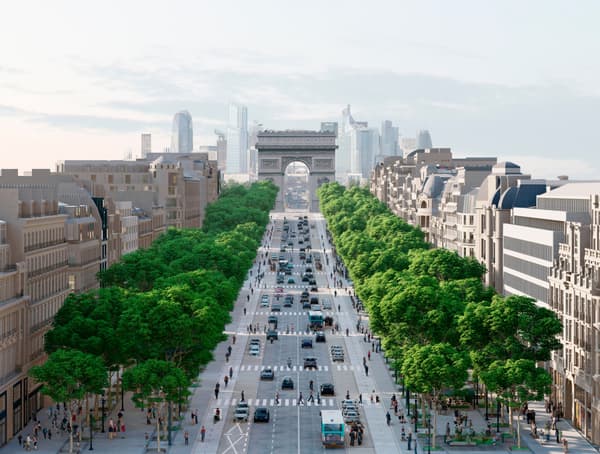 Plus D'arbres, Moins De Voitures... À Quoi Pourrait Ressembler L'avenue ...