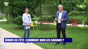 Bobos de l'été : comment bien les soigner ? - 11/07