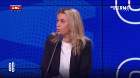 Grèves et manifestations :  "Pour moi c'est SOS fainéants en détresse !", tacle Sarah Saldmann 
