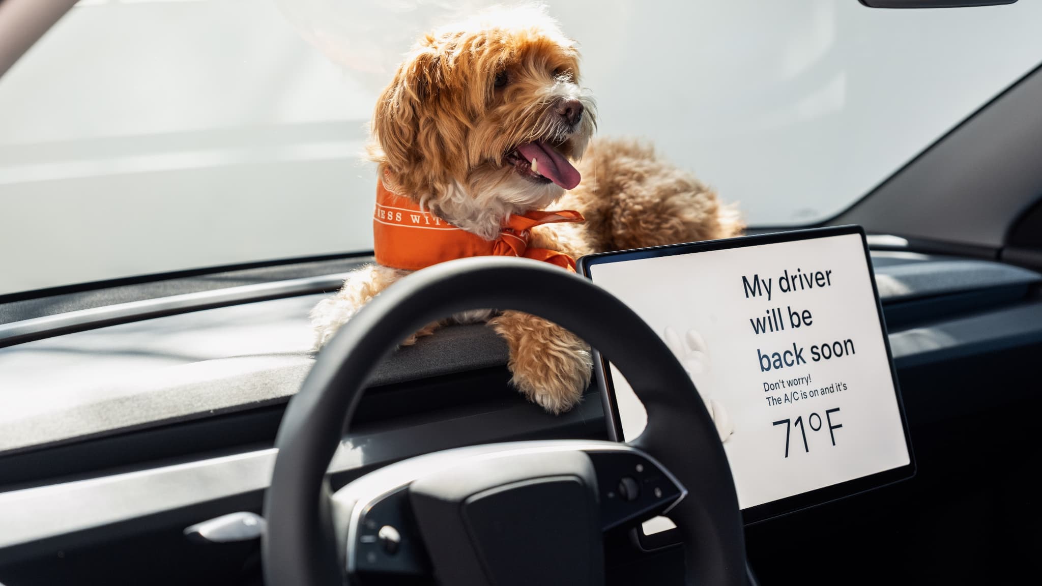 Les versions "Standard" conservent la plupart des fonctions proposées par Tesla, comme le "Dog mode".