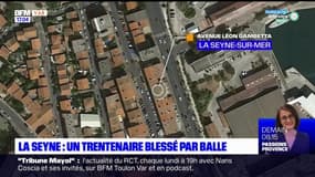 La Seyne-sur-Mer: un trentenaire blessé par balle