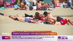 Attentat masculiniste: d'où vient la mouvance "incel"