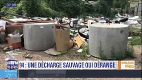 Val-de-Marne: à Villeneuve-Saint-Georges, personne ne veut nettoyer la décharge sauvage