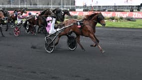 Hooker Berry vise le doublé Prix d'Amérique - Prix de France