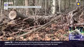 Paris: une pétition pour sauver le Bois de Vincennes