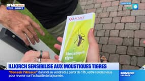Illkirch: sensibilisation des habitants contre les moustiques tigres
