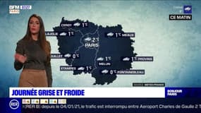 Météo Paris-Ile de France du 5 janvier : Journée grise et froide