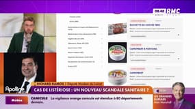 Fromages contaminés à la listeria : "Si c'est au nom du fric qu'on n'a pas fait les contrôles, il faudra être très sévère", dit Richard Ramos, député Modem du Loiret