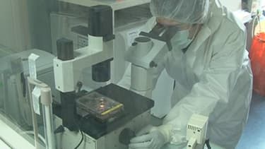 quatre nouveaux cas de coronavirus ont été détectés en Arabie Saoudite