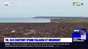 Seine-Maritime: une femme et son fils meurent après la chute d'une falaise