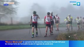 Alsace: la montée du col du Haag en skis à roulettes