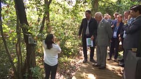 Bordeaux: le roi Charles III est arrivé dans une forêt expérimentale située aux alentours de la métropole