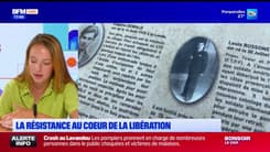 L'été chez nous: découvrir l'histoire du Débarquement de Provence pour son 80e anniversaire