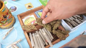 Un homme cueille de la marijuana à vendre lors du festival "Cannabis at the park" à Bogota, en Colombie, le 7 octobre 2023.