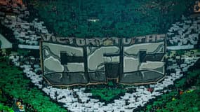 Des supporters du Celtic face aux Young Boys, en Ligue des champions, le 22/01/2025