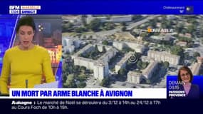 Avignon: un homme meurt poignardé dans le quartier de Monclar